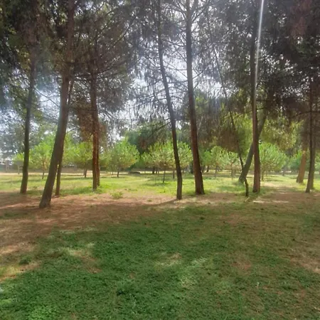 Santafe'- Attico A Due Passi Dal Mare - Parcheggio Privato *