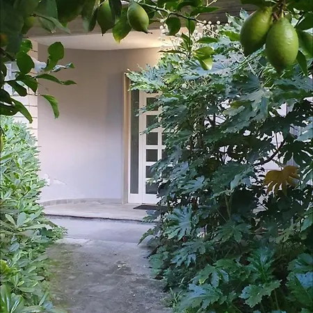 Santafe'- Attico A Due Passi Dal Mare - Parcheggio Privato Montesilvano