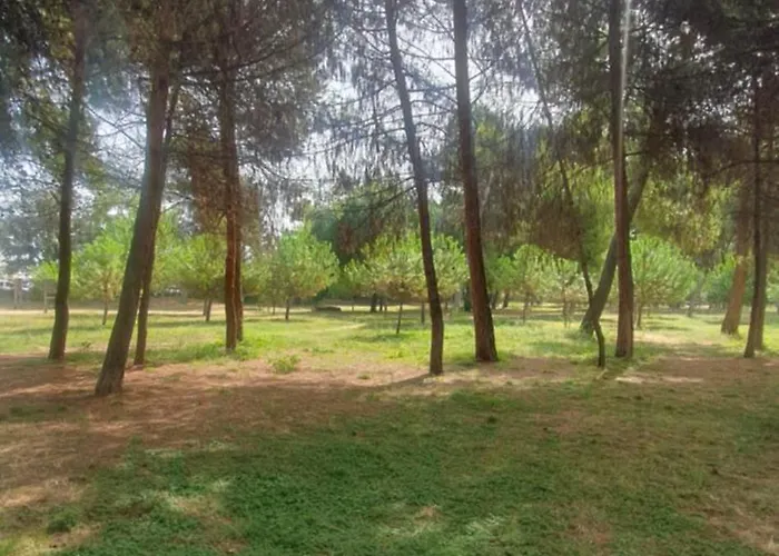 Santafe'- Attico A Due Passi Dal Mare - Parcheggio Privato *