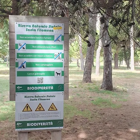 Santafe'- Attico A Due Passi Dal Mare - Parcheggio Privato * Montesilvano Marina