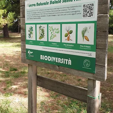 Santafe'- Attico A Due Passi Dal Mare - Parcheggio Privato Holiday home Montesilvano