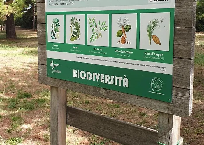 Santafe'- Attico A Due Passi Dal Mare - Parcheggio Privato Dom wakacyjny Montesilvano Marina