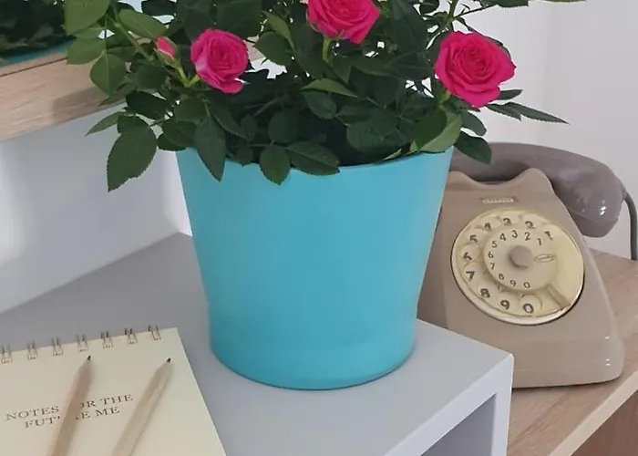 Santafe'- Attico A Due Passi Dal Mare - Parcheggio Privato Montesilvano